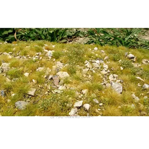 AMMO by MIG Vegetation - STONY MOUNTAIN GROUND