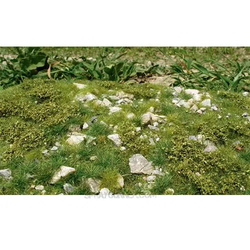 AMMO by MIG Vegetation - STONY MOUNTAIN - SPRING