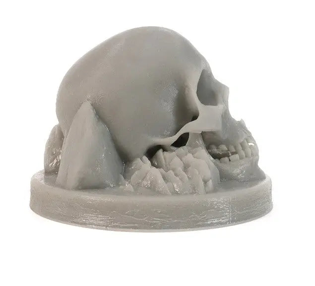 3D Printed Skull Airbrush Display Stand by NO-NAME Brand
