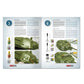AMMO by MIG SOLUTION BOOK 11 - How to Paint How to Paint 4BO Green Vehicles (Multilingual)