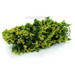 AMMO by MIG Vegetation Shrubs - Goldfinger