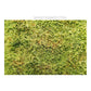 AMMO by MIG Vegetation Wilderness Fields with Bushes - Spring
