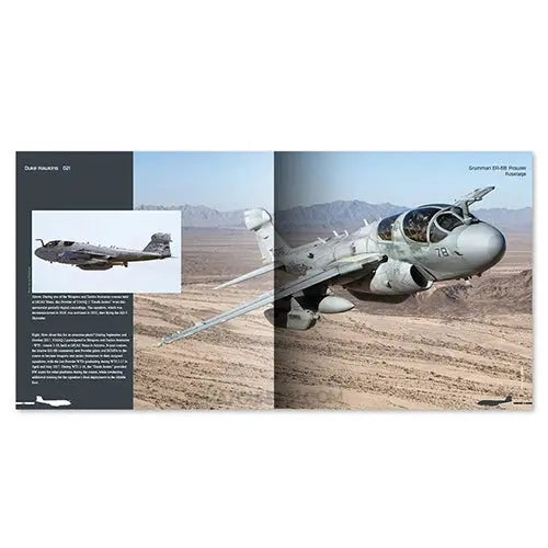 Ammo by MIG Publications Grumman EA-6B Prowler