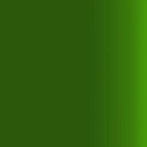 Createx Airbrush Colors Transparent Tropical Green 5116 Createx