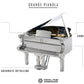 Grande Pianola Piano Metal Model