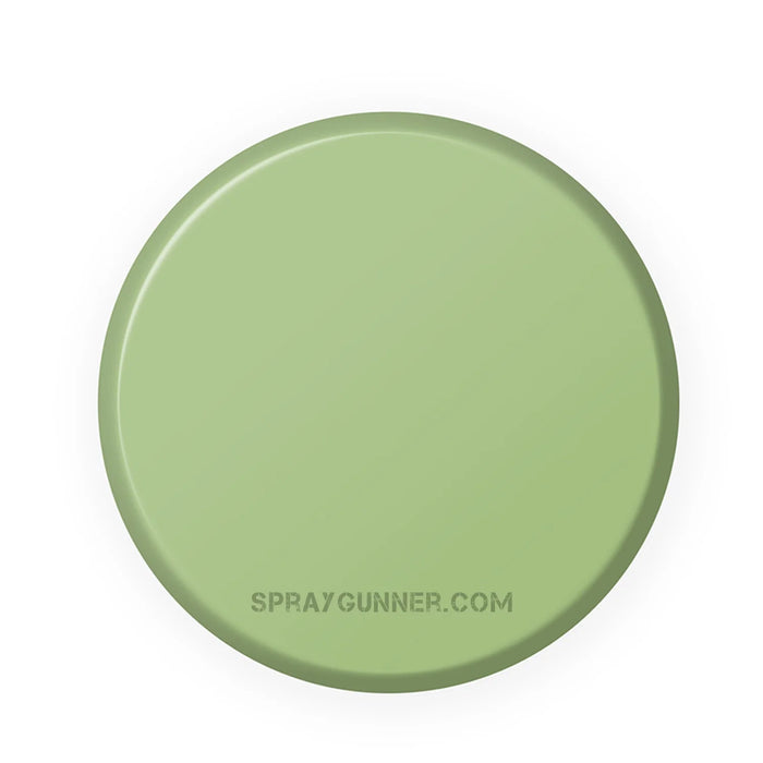 IONIC Smart Colors: Stone Green (20ml)