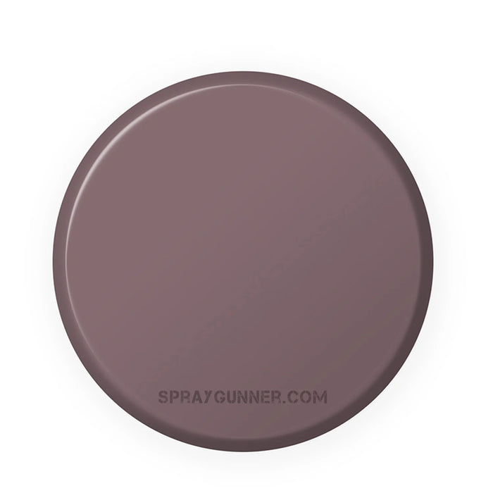 IONIC Smart Colors: Stonewall Grey (20ml)
