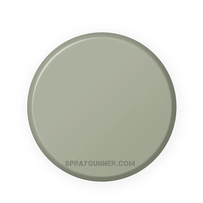 IONIC Smart Colors: Ruins Grey (20ml)