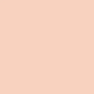 Illustration Colors Lifeline Fair Blush 5022 Createx