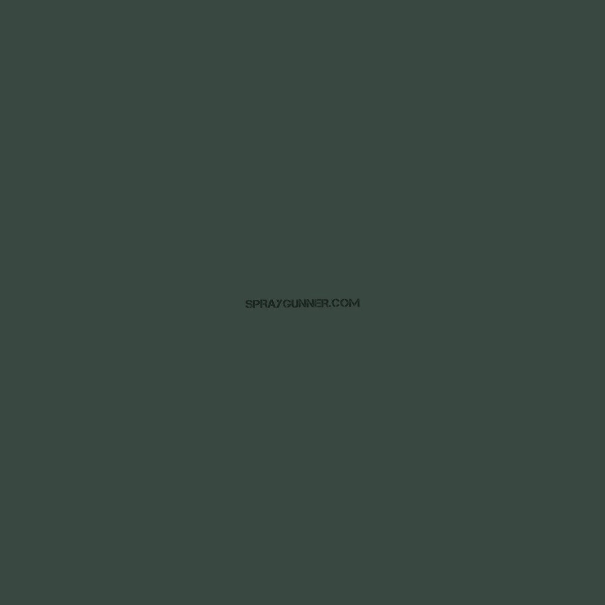 GSI Creos Acrysion: Khaki Green (N-80)